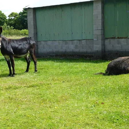 Σπίτι διακοπών The Coach House, Seaville Farm, Nr Silloth *